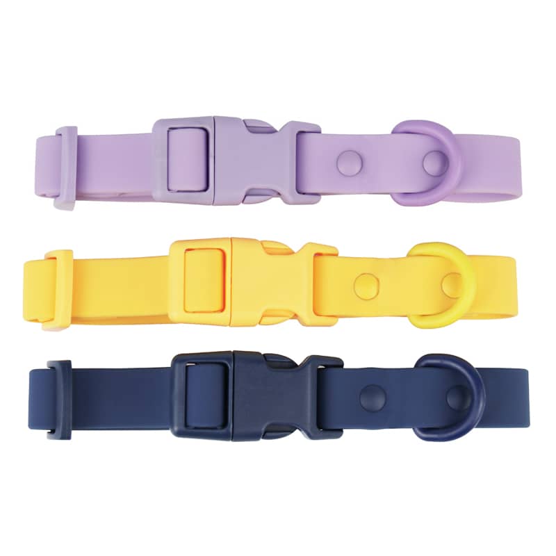 Dog Leash